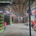  3500m2 - 5