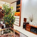  50m2 - 1