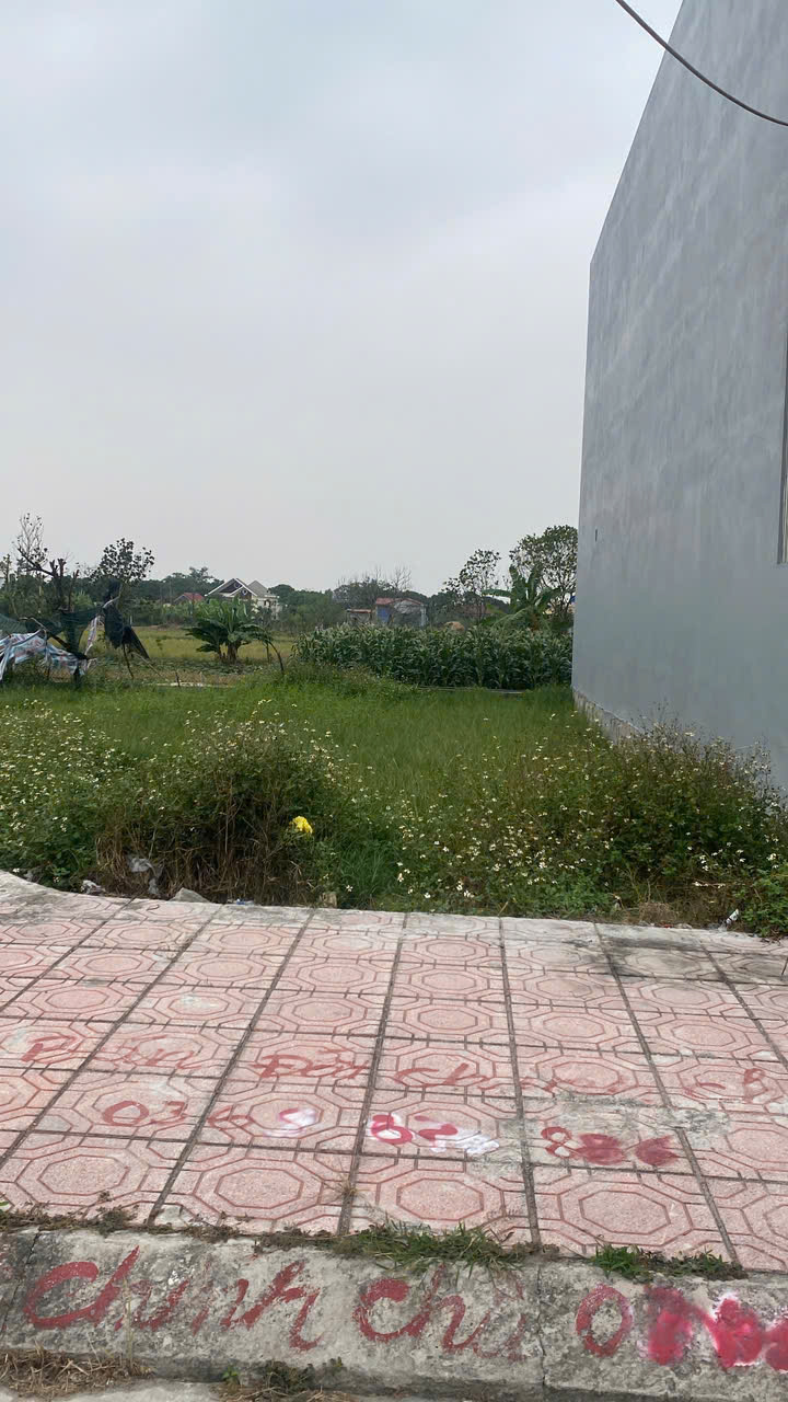 475m2