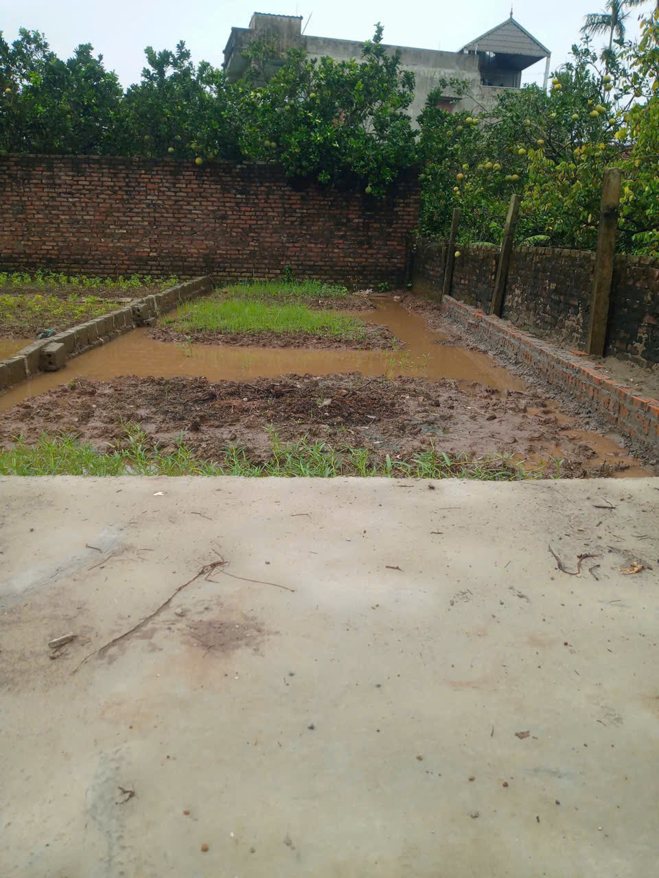 55m2