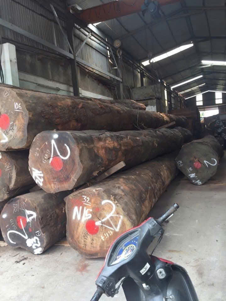 cho thuê kho xưởng tại Dương Nội, Hà Đông, Hà Nội. Diện tích 450m, khung thép hộp cao 7m,sẵn cẩu trục, xe container đỗ