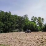  3019m2 - 1