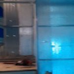  160m2 - 4