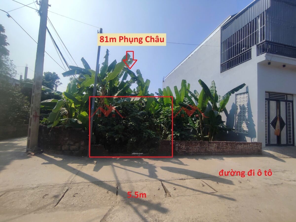 SIÊU PHÂM GIÁ 4,5 TỶ ĐẤT TẠI PHỤNG CHÂU-CHƯƠNG MỸ D/T:81M