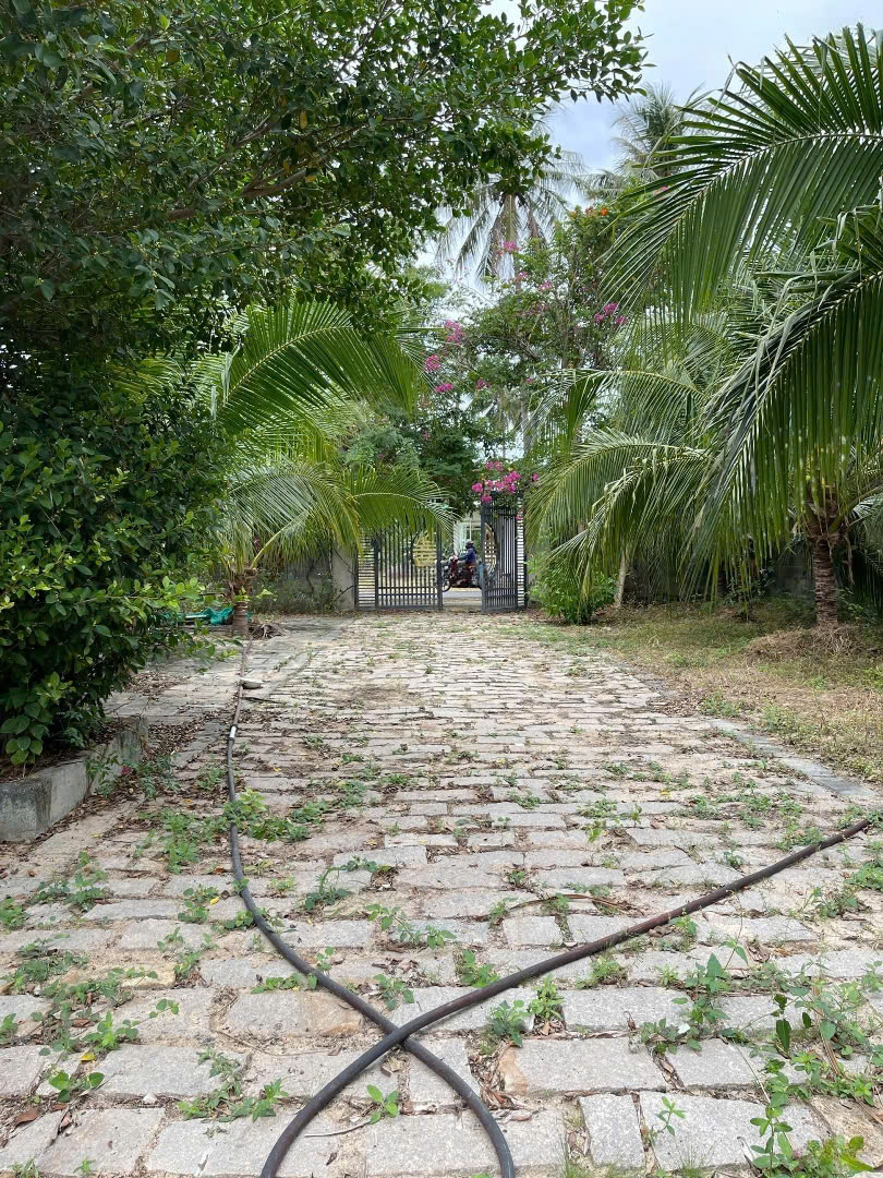 CHÍNH CHỦ BÁN NHANH LÔ ĐẤT TẠI Thôn Thiện Hòa, xã Thiện Nghiệp, TP Phan Thiết, tỉnh Bình Thuận