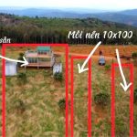  1000m2 - 1