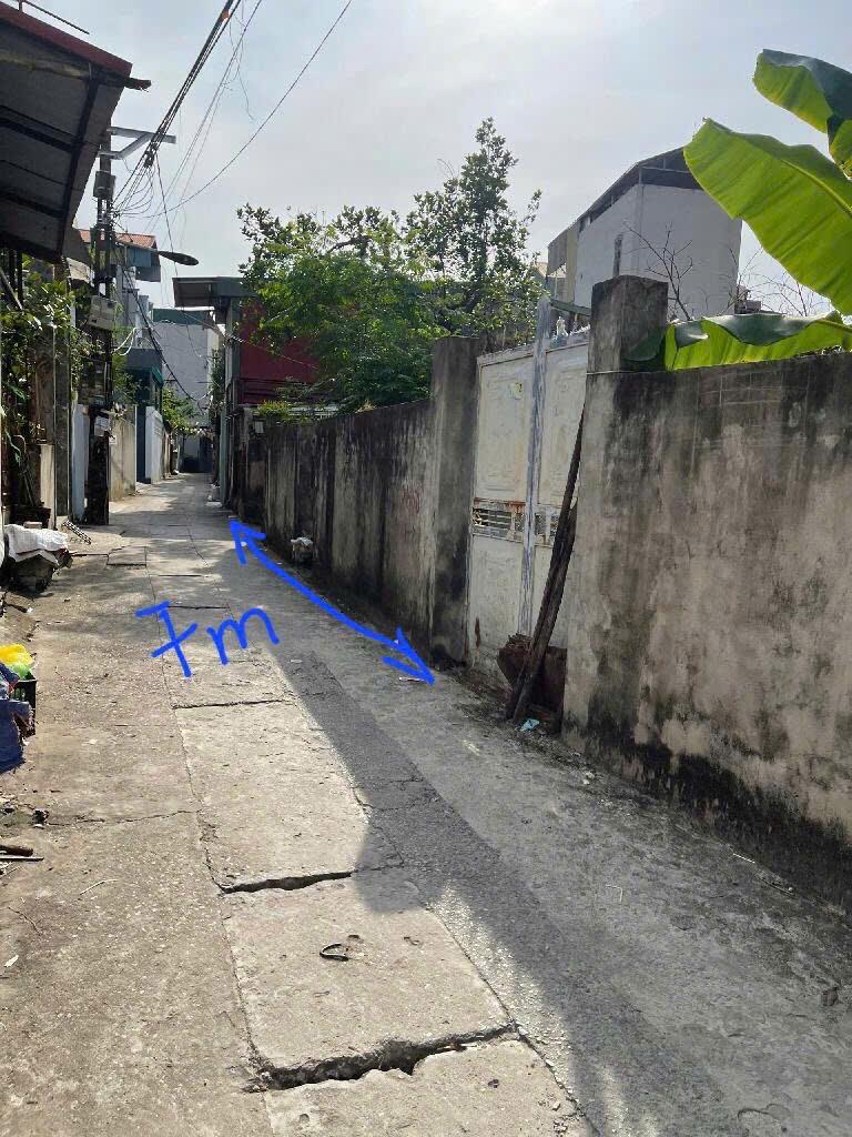 SỞ HỮU NGAY Lô Đất Mặt Tiền Cực Khủng Vị Trí Đẹp Tại Xã Đại Áng, Thanh Trì, Hà Nội