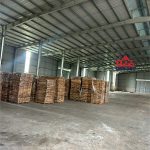  15600m2 - 6