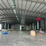  15600m2 - 6