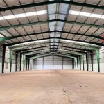  5000m2 - 3