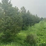  3600m2 - 4