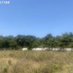  600m2 - 1
