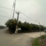 832m2