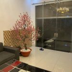  40m2 - 3