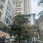  320m2 - 5