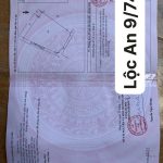  1000m2 - 6