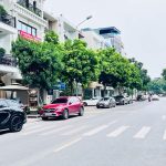  260m2 - 1