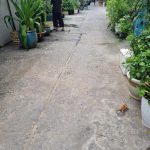  55m2 - 4