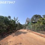  17000m2 - 4