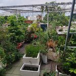  90m2 - 7