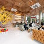  300m2 - 3