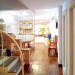  60m2 - 5