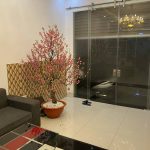  40m2 - 3