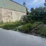  3100m2 - 3