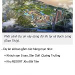  100m2 - 5