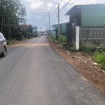  350m2 - 1