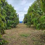  5200m2 - 1