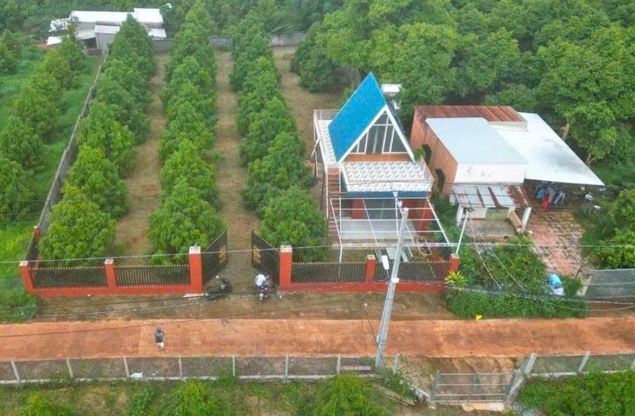 BÁN ĐẤT THỔ CƯ 5200M2 GIÁ HỜI - CHÁNH PHÚ HÒA - BẾN CÁT - BÌNH DƯƠNG - SỔ HỒNG