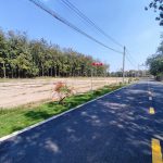  250m2 - 4