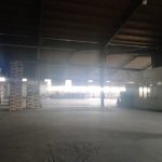  6000m2 - 3
