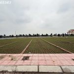 100m2 - 4