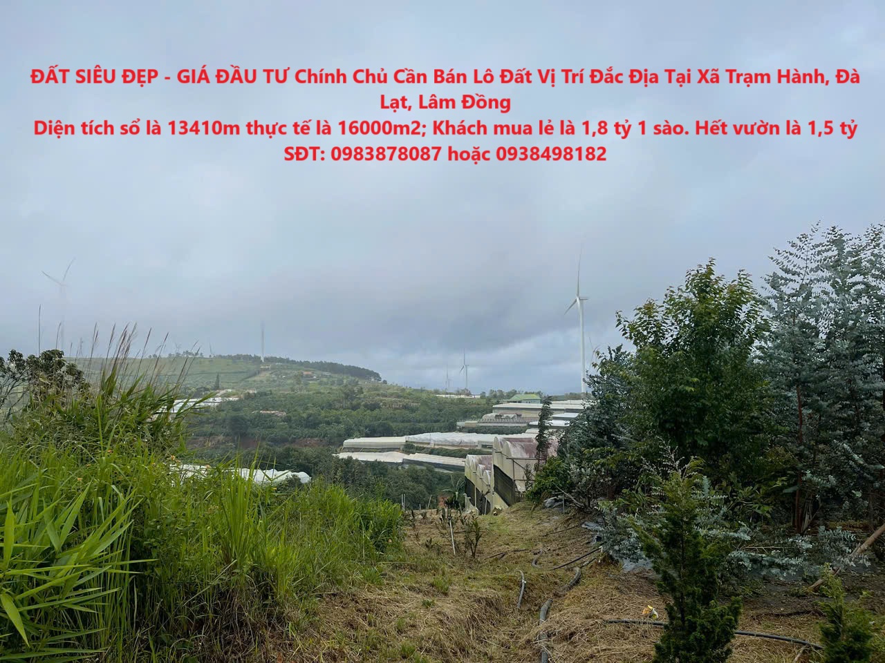 ĐẤT SIÊU ĐẸP - GIÁ ĐẦU TƯ Chính Chủ Cần Bán Lô Đất Vị Trí Đắc Địa Tại Xã Trạm Hành, Đà Lạt, Lâm Đồng