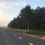 27000m2 - 1