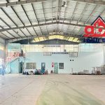  5000m2 - 1