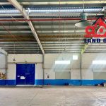  5000m2 - 3