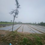  90m2 - 1