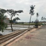  100m2 - 5
