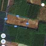  9000m2 - 1