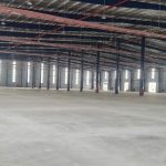  5000m2 - 3