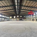  8000m2 - 5