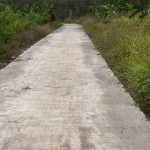 20000m2 - 1