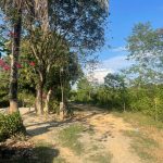  4000m2 - 3