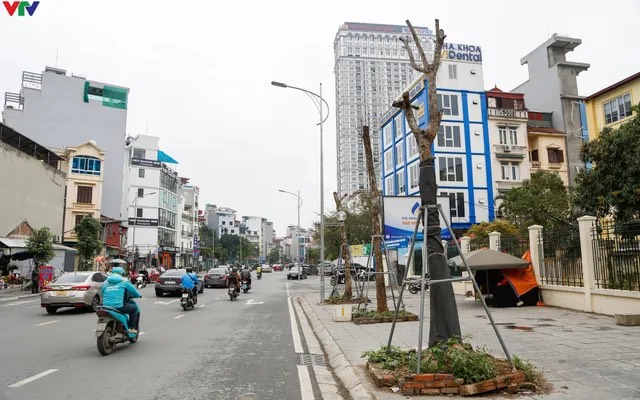 NHÀ PHÂN LÔ PHỐ HUỲNH THÚC KHÁNG 50M2X4 TẦNG, 3.8M, GIÁ 25 TỶ