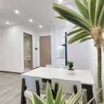  62m2 - 4