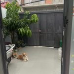  70m2 - 5
