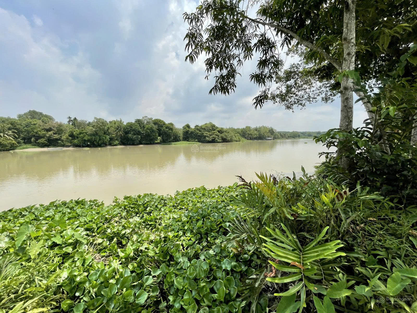 Bán vườn cà na, bên sông SG tại xã An Phú, Củ Chi, TPHCM, 5.9 tỷ, 2860 m2 - có 90m2 thổ cư